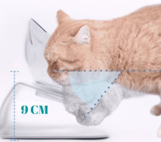 ciotola rialzata per gatti vantaggi