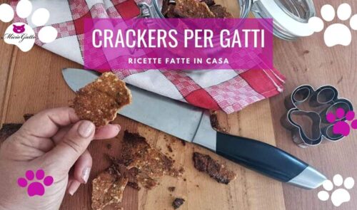 crackers per gatti fatti in casa cheffa dog ricette gatto