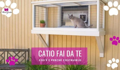 catio per gatti fai da te