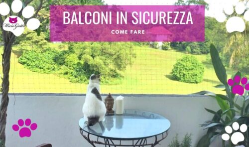 protezioni balconi per gatti