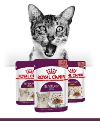 Royal Canin® SENSORY™