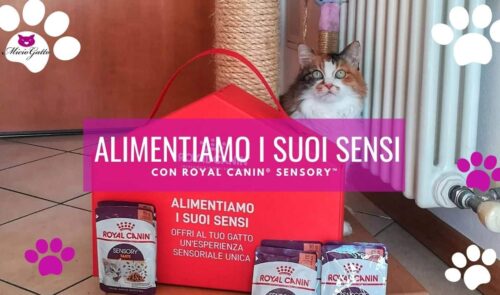 Alimentiamo i suoi sensi con Royal Canin® SENSORY™