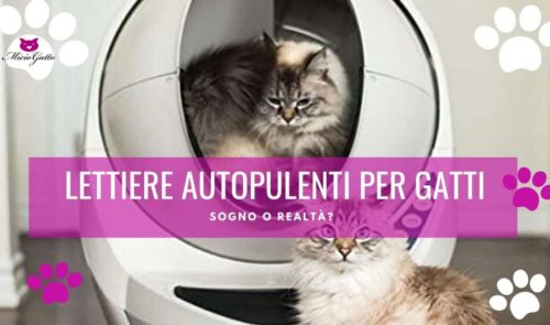 lettiera autopulente per gatti elettrica automatica