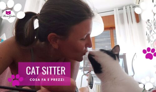 cat sitter a domicilio prezzi