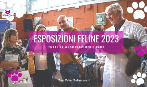 esposizioni feline 2023 calendario expo feline 2023