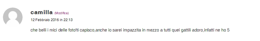 Commento su micioGatto