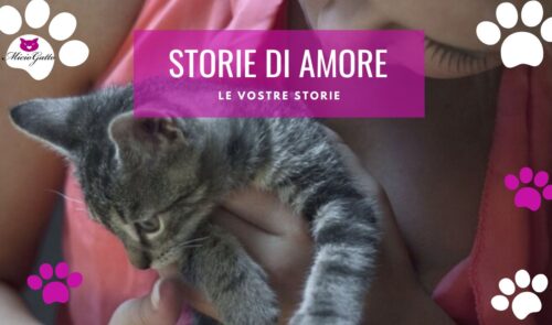 storie di amore per i gatti