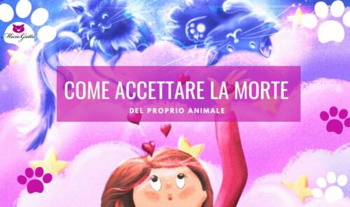come accettare la morte del proprio animale gatto