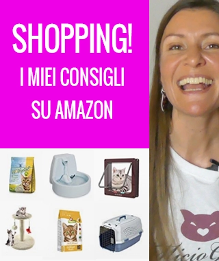 Shopping su Amazon per gatti