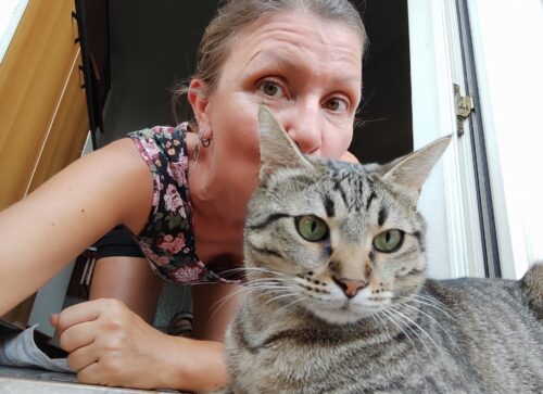 dove trovare pet sitter annunci rover