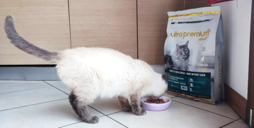 cibo per gatti ultra premium direct recensione