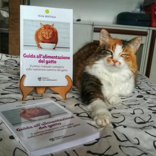 Guida alimentazione gatto MicioGatto