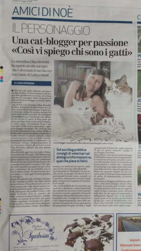 Elisa Bertoldi di MicioGatto sul Giornale di Vicenza