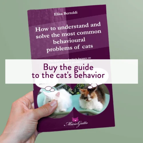 Buy the guide to the cat's behavior