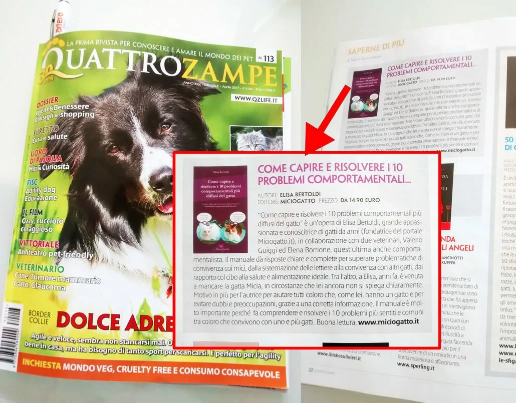 MicioGatto su Quattrozampe